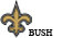 bush 25