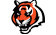 cincinnati bengals