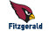 fitzgerald 11