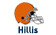 hillis 40