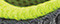 grey lime