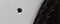 white black